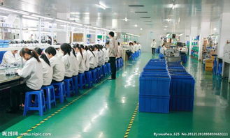 一呼百應，賦能裝飾材料新未來——探索公司頻道的行業價值