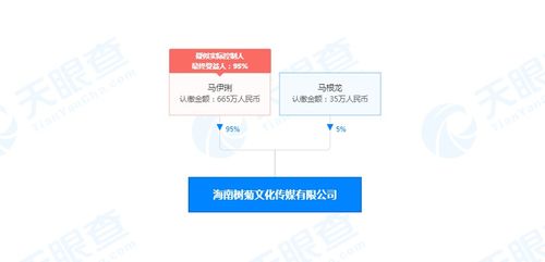 馬伊琍海南布局文化新賽道，成立文化傳媒公司拓展演出經紀版圖